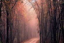 詹姆斯连续砍下30+，领导球队赢下重要比赛