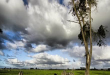 欧洲国家锦标赛上球员展示高超技艺