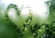 詹姆斯连续砍下30+，领导球队赢下重要比赛