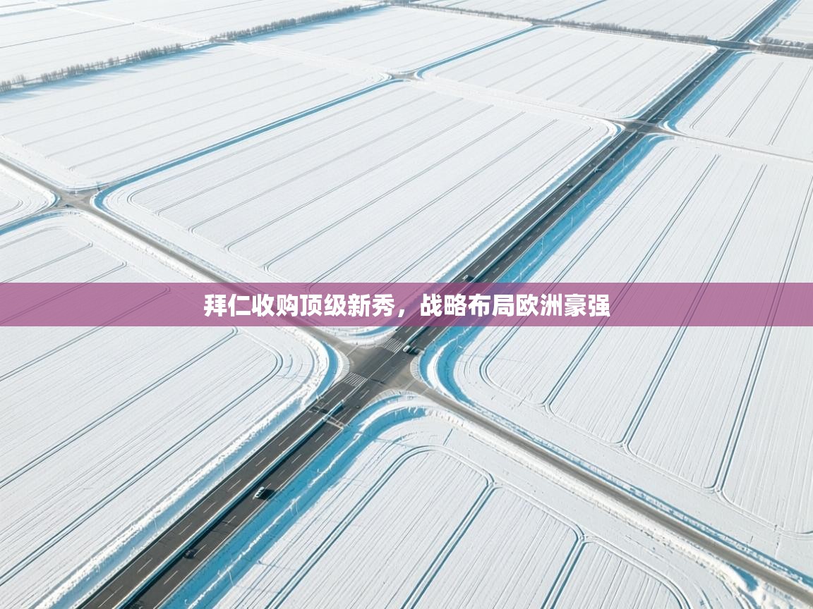 拜仁收购顶级新秀，战略布局欧洲豪强  第2张