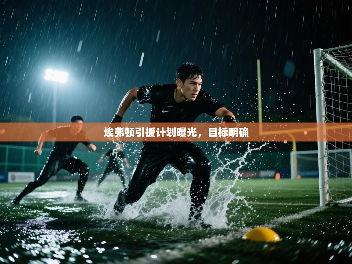 埃弗顿引援计划曝光,目标明确