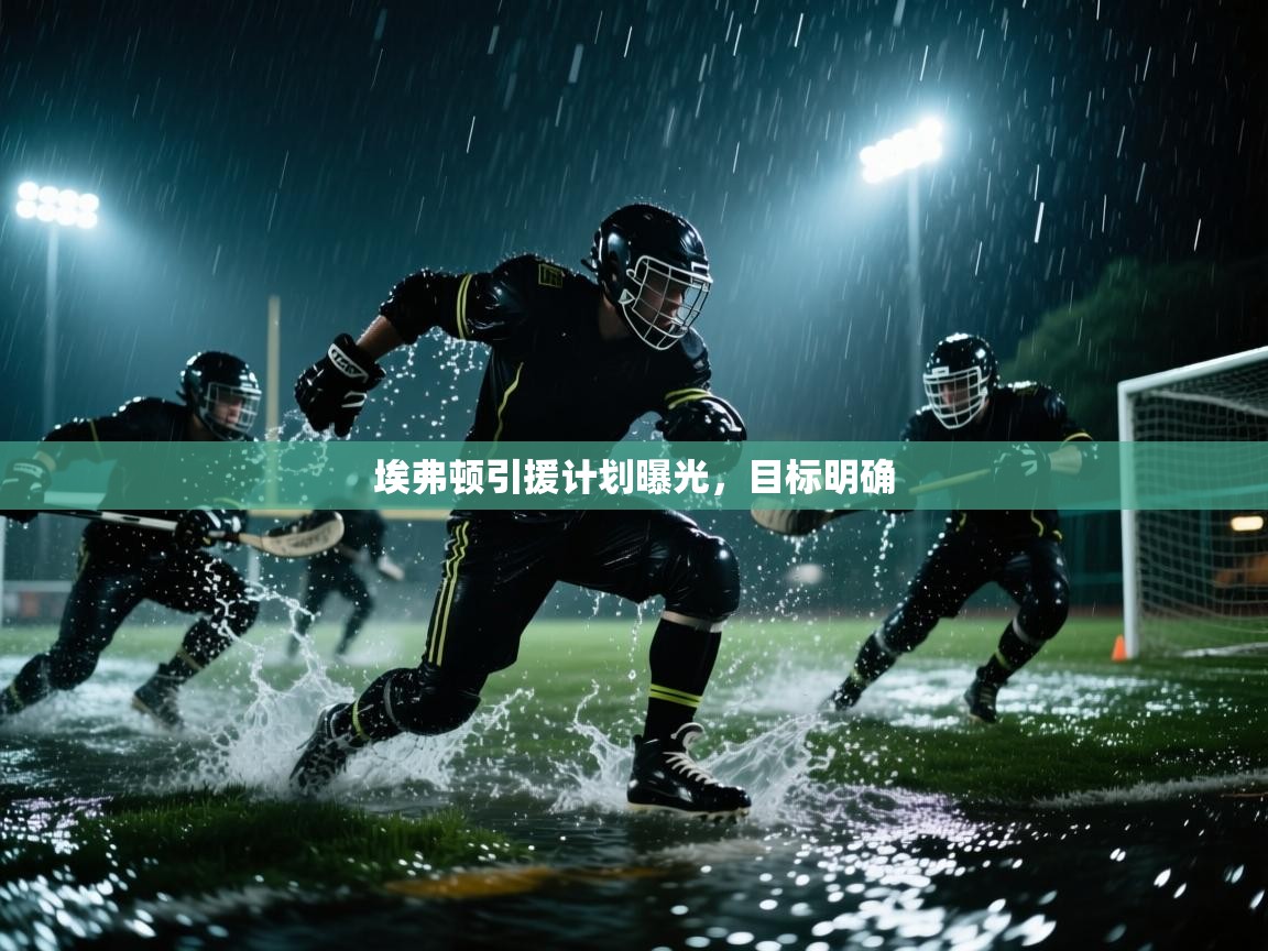 埃弗顿引援计划曝光，目标明确  第2张