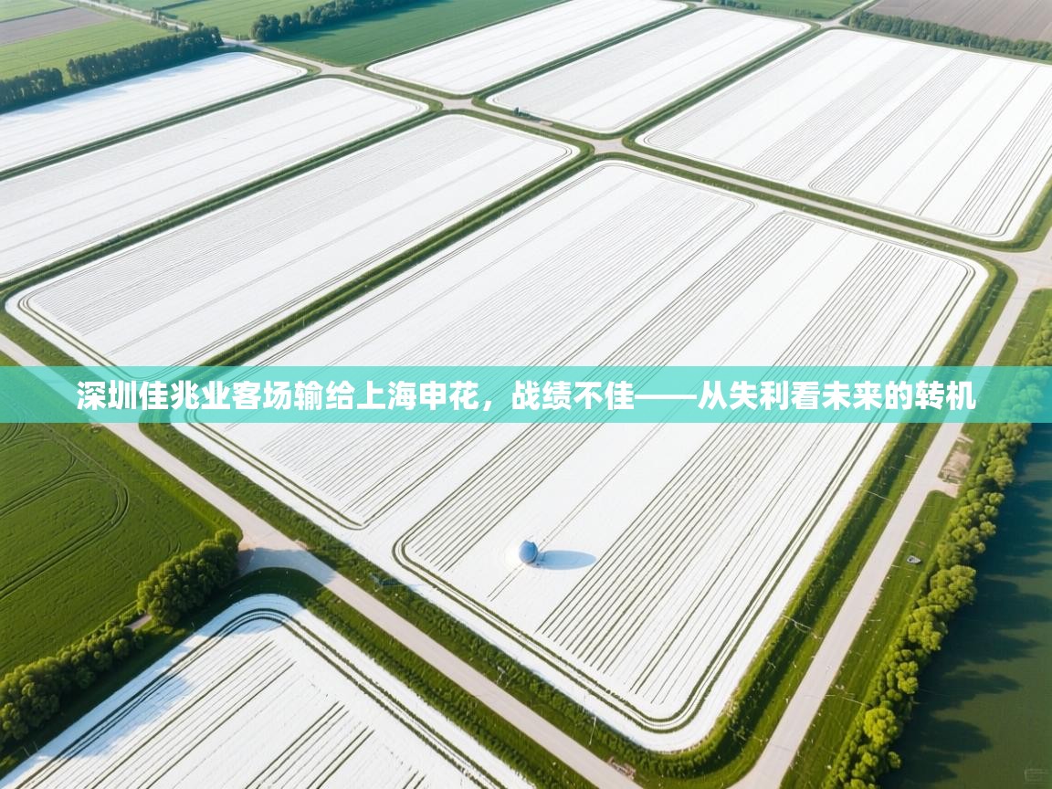 深圳佳兆业客场输给上海申花,战绩不佳——从失利看未来的转机 第2张